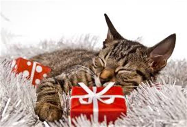 CAPODANNO ED EPIFANIA AL MARE - ULTIME DISPONIBILITA'